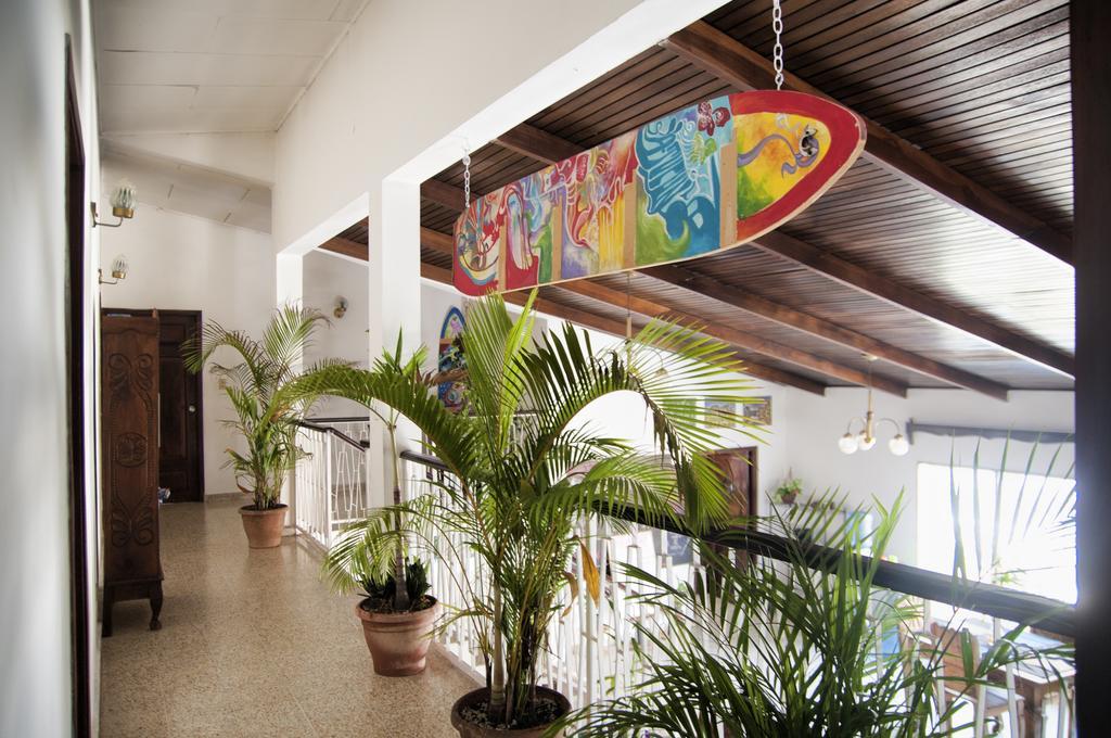 La Hamaca Hostel - San Pedro Sula Bilik gambar